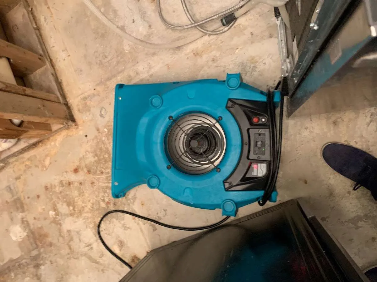 Air mover drying equipment for Mold Remediation & Removal in El Sobrante